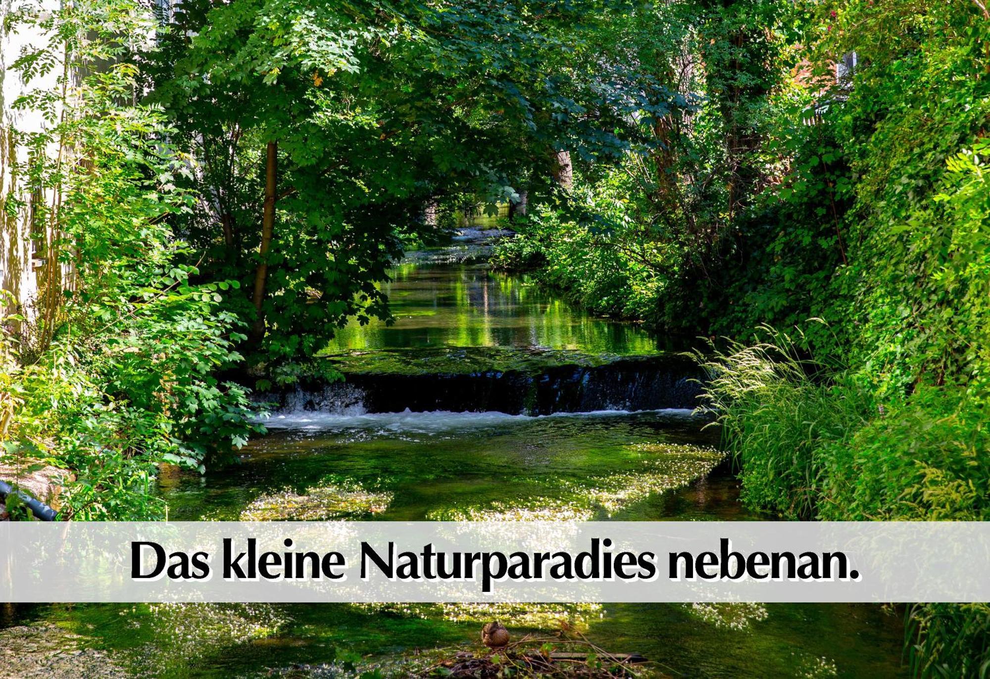 Stadtperle Am Plaetschernden Wasser - 50M2 2R Malerische Fewo In Top Lage Erfurt Esterno foto